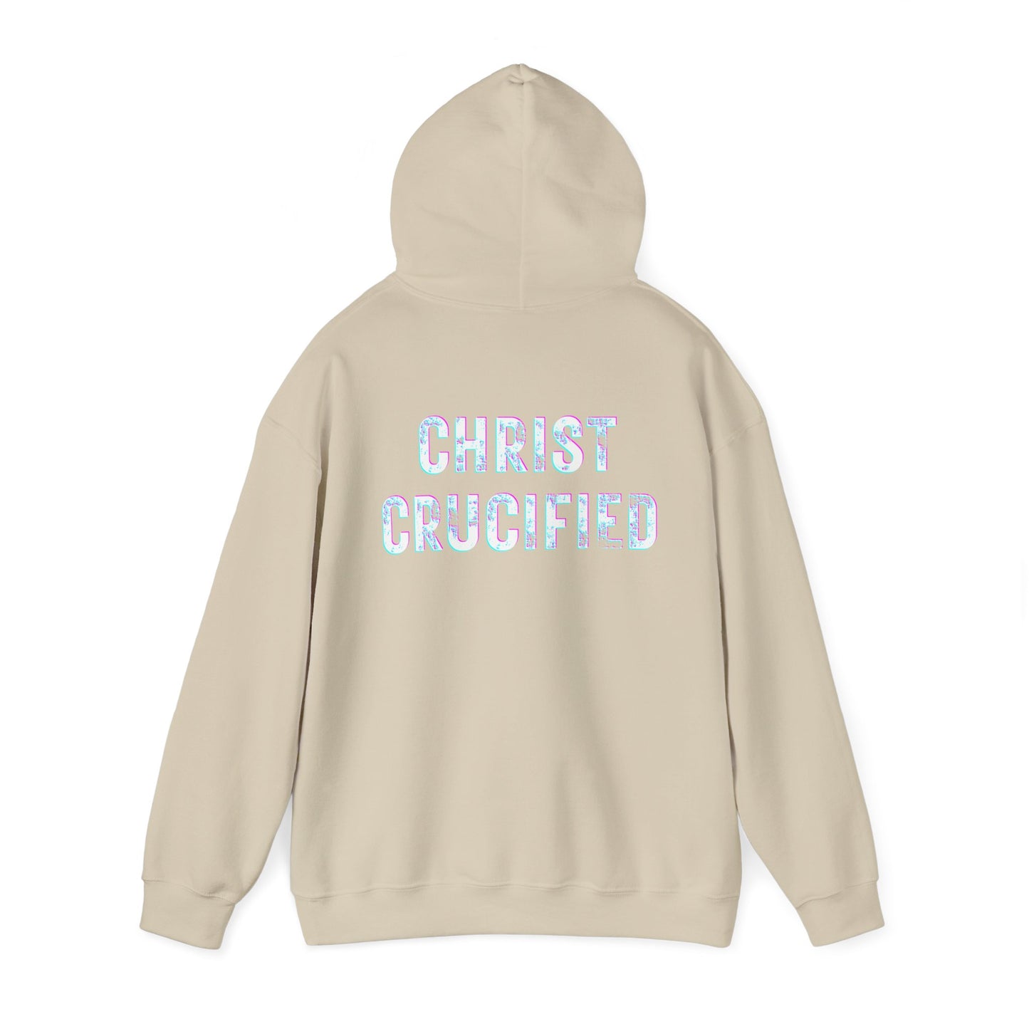 PREACH JESUS HOODIE (Multicolor)