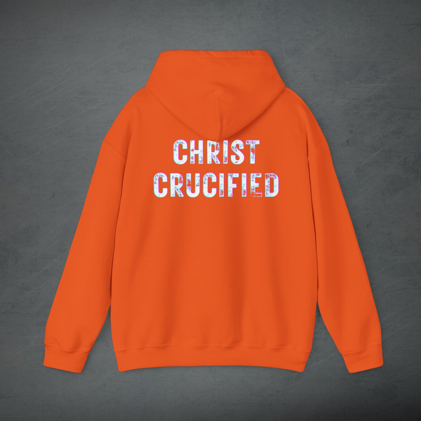 PREACH JESUS HOODIE (Multicolor)