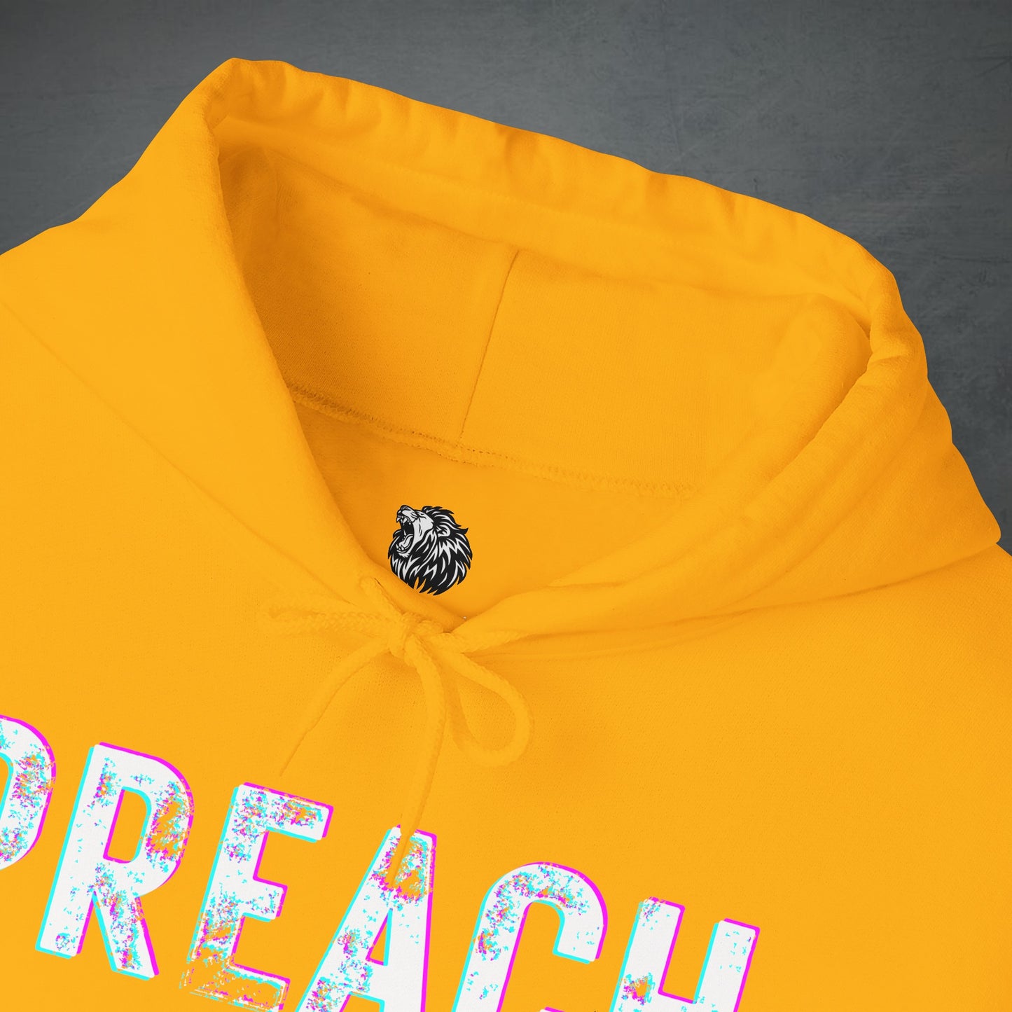 PREACH JESUS HOODIE (Multicolor)