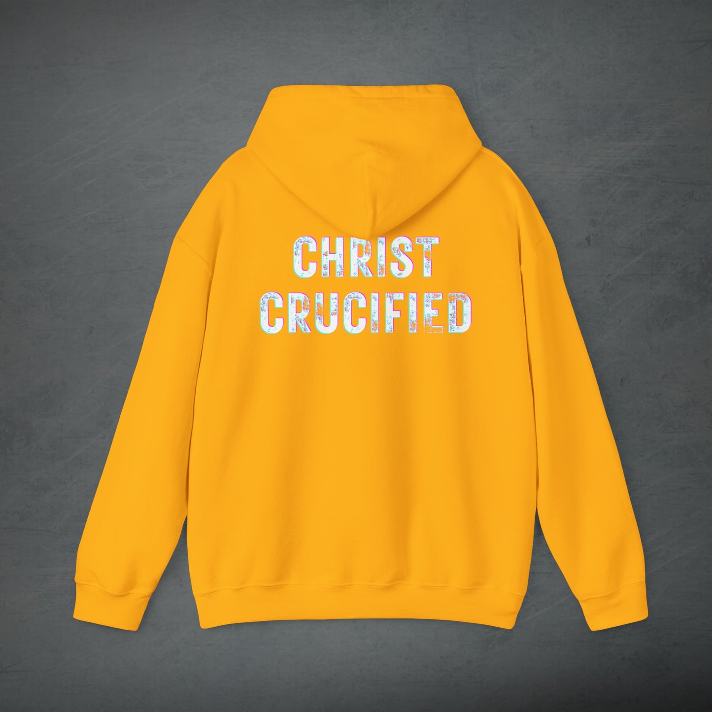 PREACH JESUS HOODIE (Multicolor)