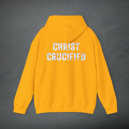 PREACH JESUS HOODIE (Multicolor)