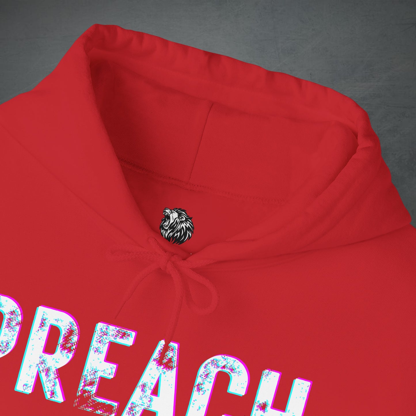 PREACH JESUS HOODIE (Multicolor)