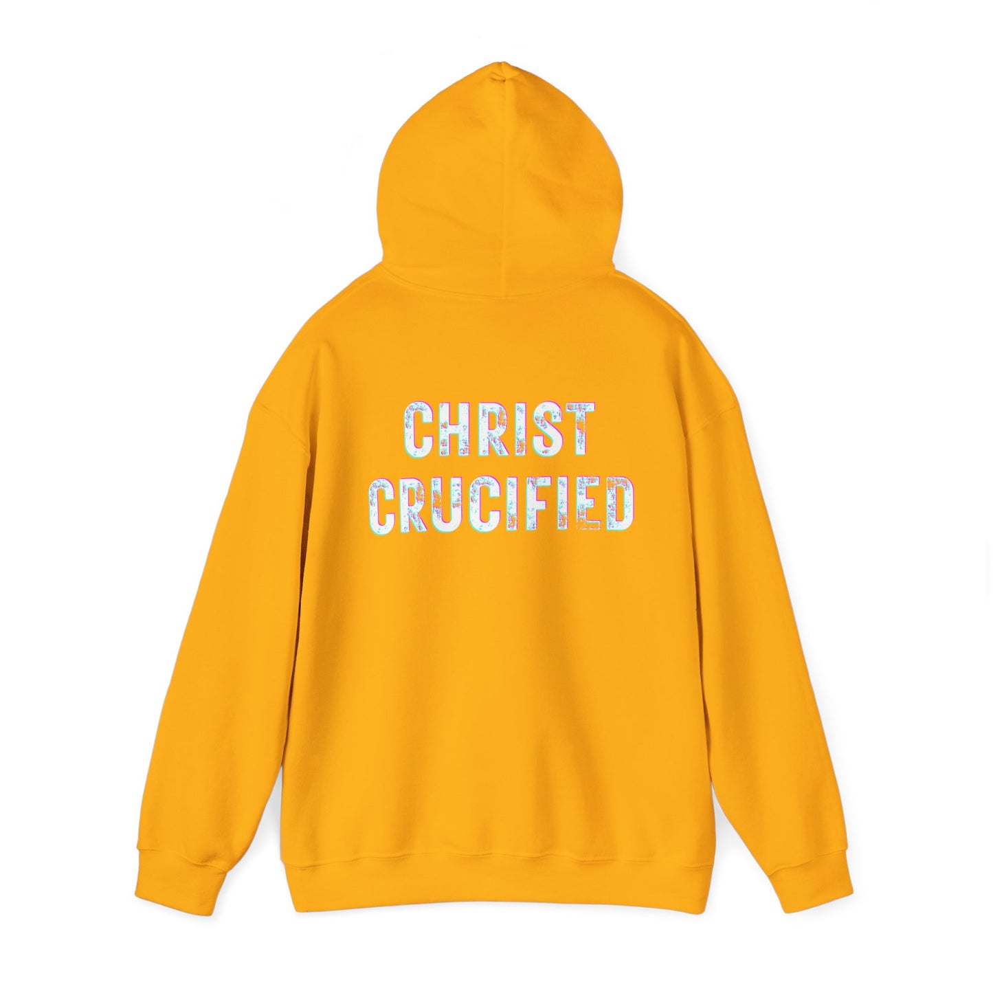 PREACH JESUS HOODIE (Multicolor)