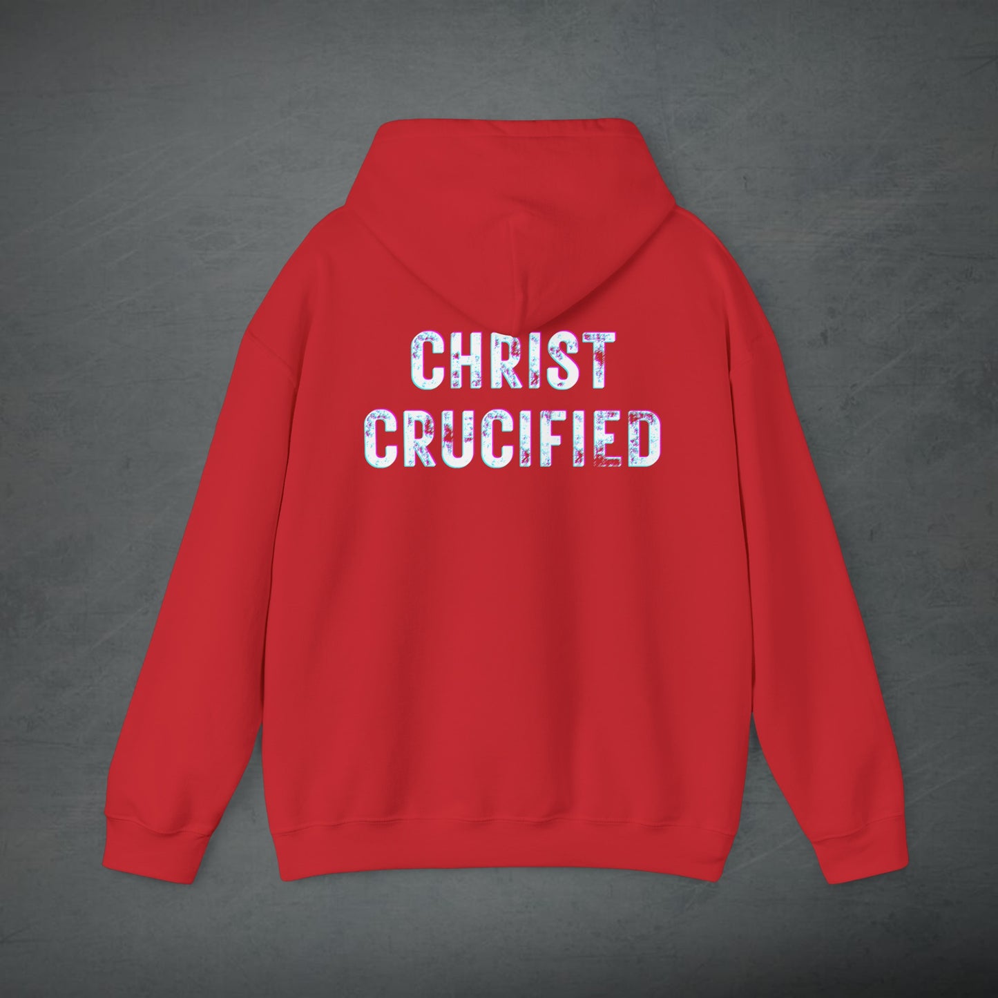 PREACH JESUS HOODIE (Multicolor)