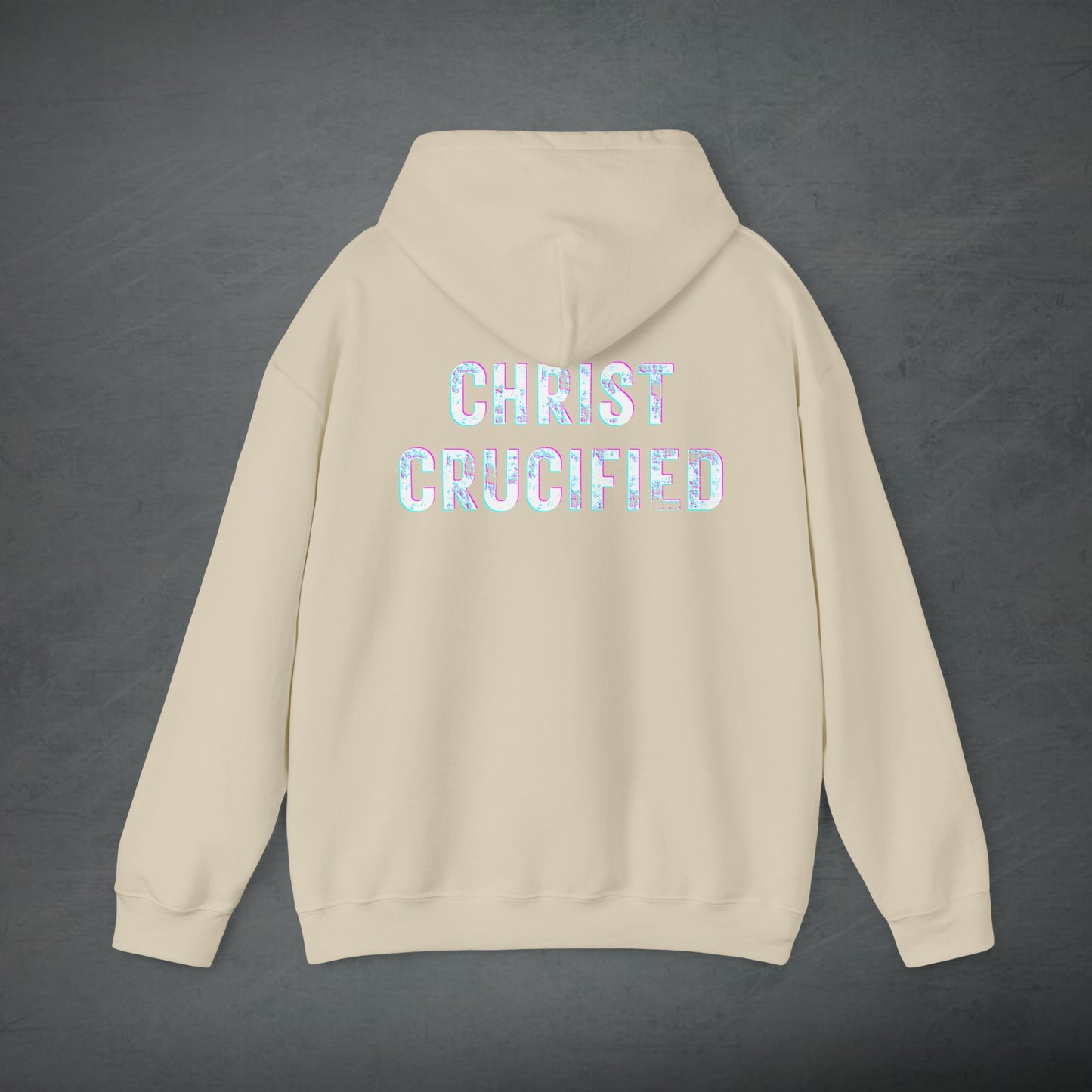 PREACH JESUS HOODIE (Multicolor)