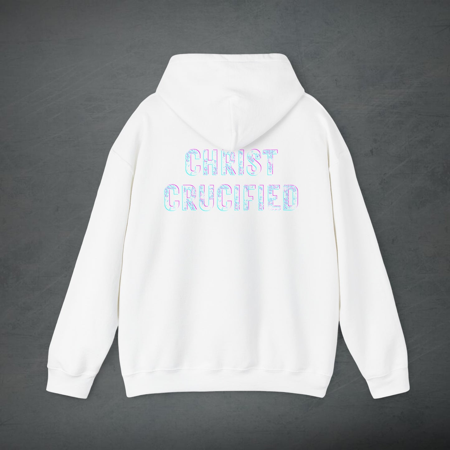 PREACH JESUS HOODIE (Multicolor)